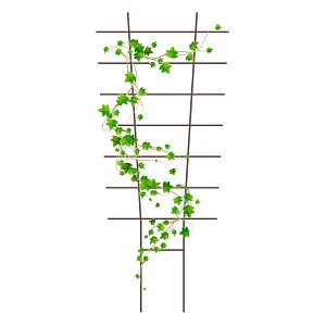 Treillage éventail en acier pour pot et balcon H. 77cm