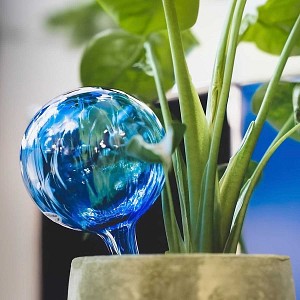 Globe d'arrosage en verre pour plante, cristal de Baccarat - Réserve d'eau 0.5L ou 1L