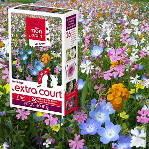 Prairie Fleurie - Fleurs mélange extra court - 7m2