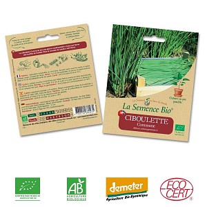 Ciboulette commune graine semence bio