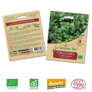 Coriandre à petites graines semence bio