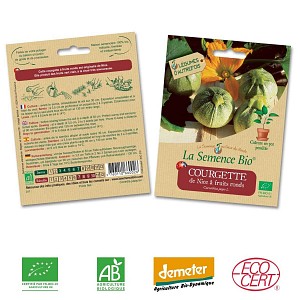 Courgette de Nice à fruits ronds - graine semence bio
