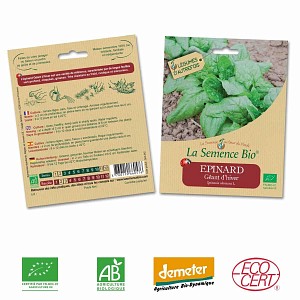 Épinard géant d'hiver graine semence bio