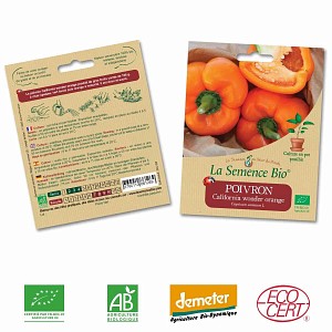 Poivron California Wonder orange graine semence bio