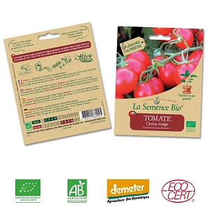 Tomate Cerise Rouge graine semence bio