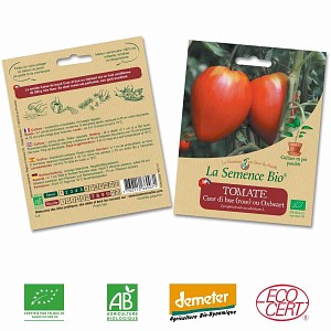 Tomate Coeur de boeuf graine semence bio
