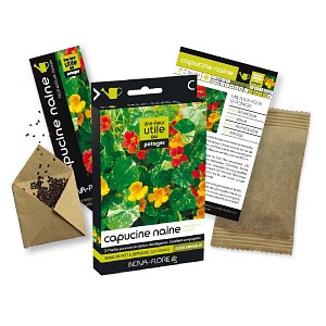 Fleur utile au potager - Graines de capucine