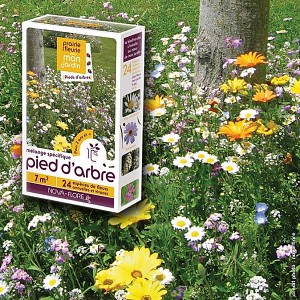 Prairie Fleurie - Pied d'arbre - mélange de graines - 7m2