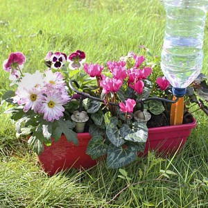 Arrosage automatique goutte a goutte IRISO kit jardinière