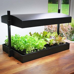 Potager d'intérieur à lampe de croissance horticole