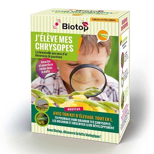 Kit pédagogique d'élevage de chrysopes