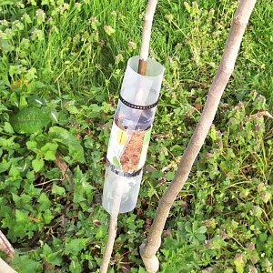 Kit de marcottage réutilisable arbre et arbuste
