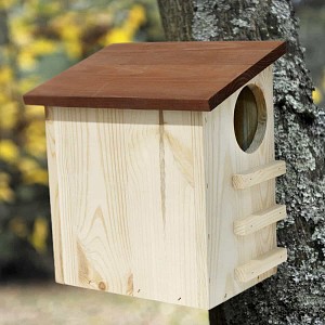 Nichoir écureuil en bois FSC