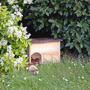 Abri refuge pour hérisson en bois FSC