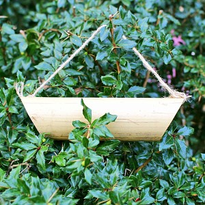 Mangeoire pour coccinelles en bambou