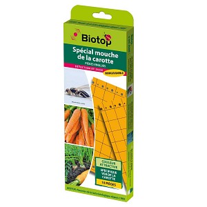 Pièges englués orange contre la mouche de la carotte