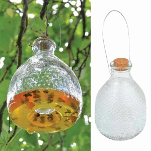 Pièges à guêpes en verre à suspendre