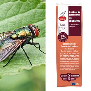 Piège à mouche - 5 plaquettes engluées
