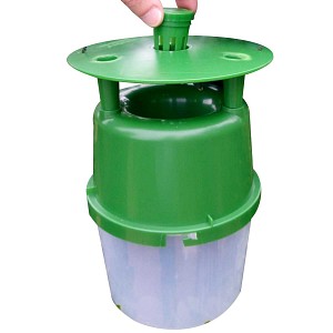Piège à papillons -vendu sans phéromone