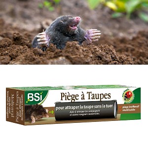 Piège à taupe sans la tuer