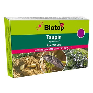 Piège et phéromone anti taupin