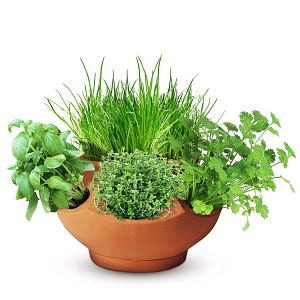 Pot en terre cuite boule ajouré 38cm