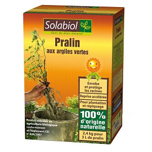 Pralin aux Argiles vertes 2.4kg Agriculture Bio