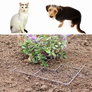 Grillage anti trou stop Chien et Chat