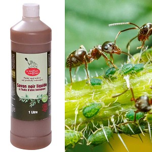 Savon noir liquide Bio 1L - Jardin et maison