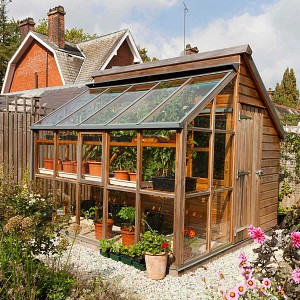 Serre de jardin et Abri en bois Gabriel Ash Classic - 5 panneaux