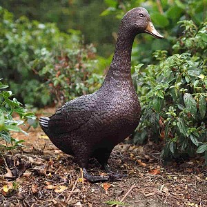 Sculpture oie en bronze - Statue animaux au jardin H. 48cm