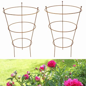 Support à pivoines en fer brut - Haut. 80cm