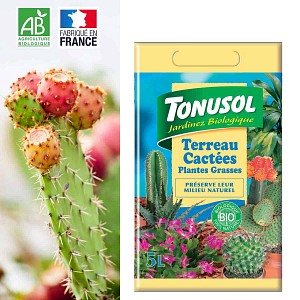Terreau cactée et plante grasse Bio - 5L