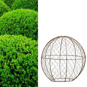 Topiaire Sphère - Gabarit de coupe pour sculpture boule