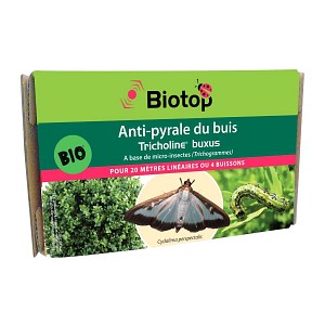 Trichogrammes Trichotop Buxus contre la Pyrale du buis (4 diffuseurs)