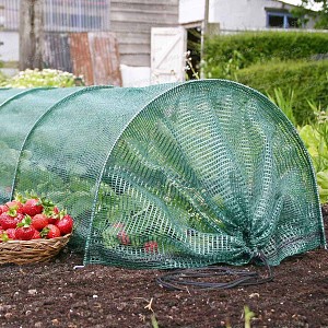 Tunnel ombrage anti insecte