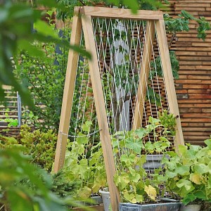 Support plante grimpante - Filet à ramer concombre, haricot, petit pois 120 x 80cm