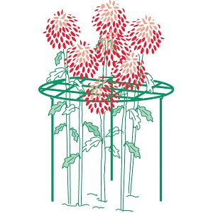 Tuteur grille rond support pour plantes - Pivoines et dahlias