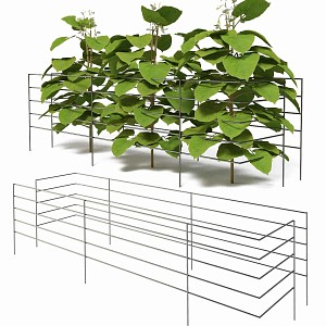 Tuteurs support pour haricots long.110cm - lot de 2