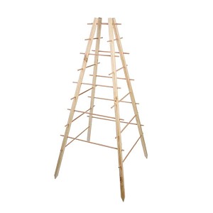 Support plante grimpante pyramide en bois FSC H. 143cm
